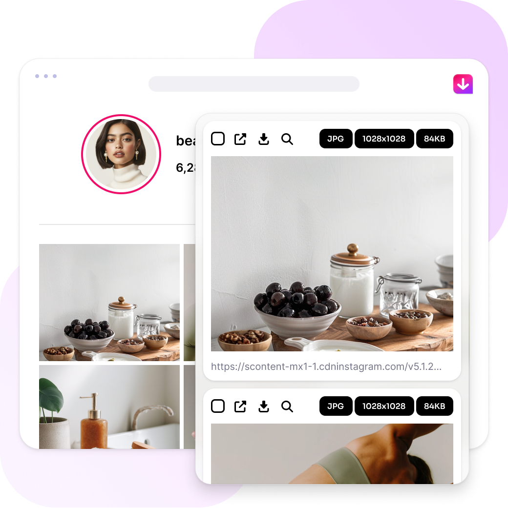 Imageye bulk image downloader interface